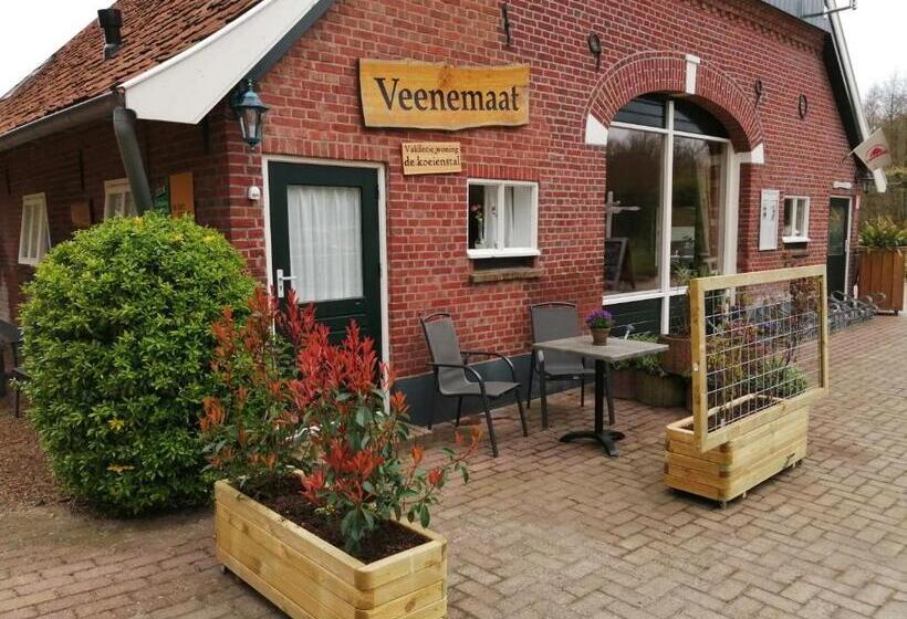 تختخواب و صبحانه Veenemaat