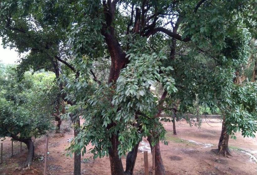 Condo Hotel A Unit Of Rajvihar