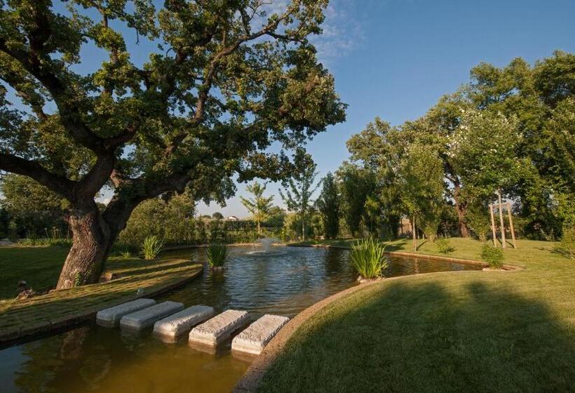 호텔 Astrea Wellness & Spa