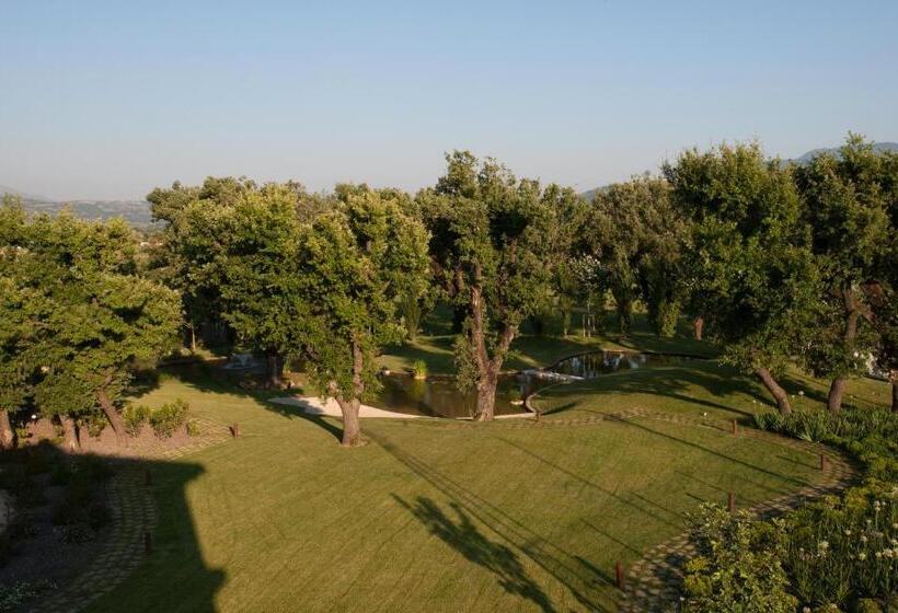 호텔 Astrea Wellness & Spa