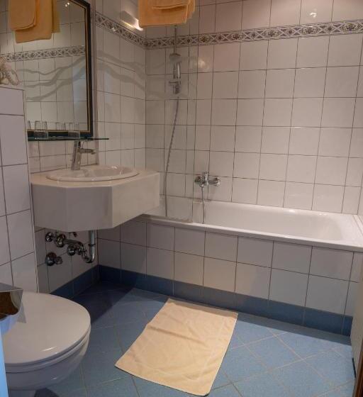 فندق Brückenwirt