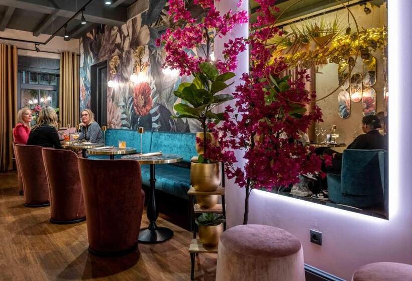 Отель Mondragon