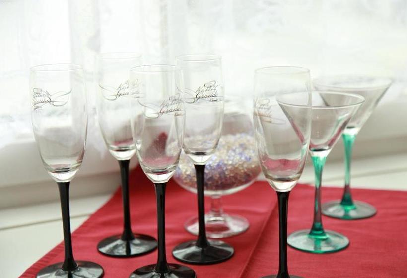 酒店 Pension Stadt Grein