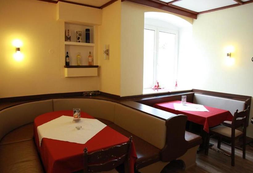 酒店 Pension Stadt Grein