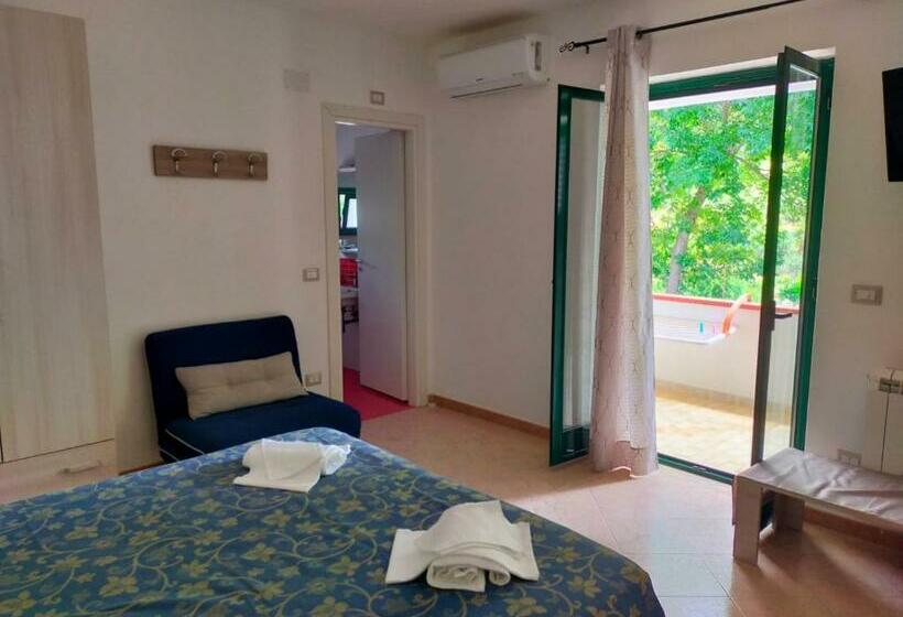 Пансион Colibrì