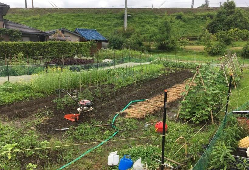 Пансион Guest House Ilonggo