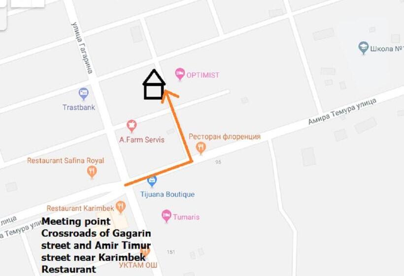 بنسيون Optimist