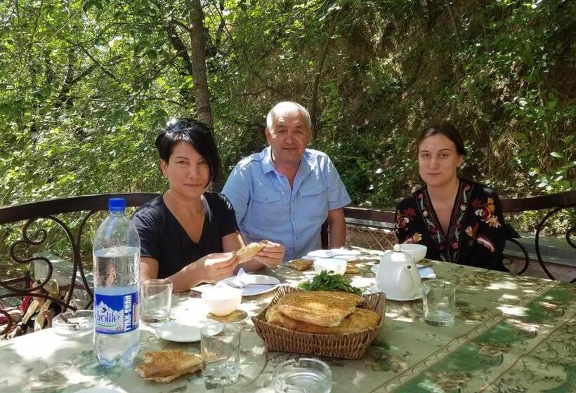 بنسيون Optimist