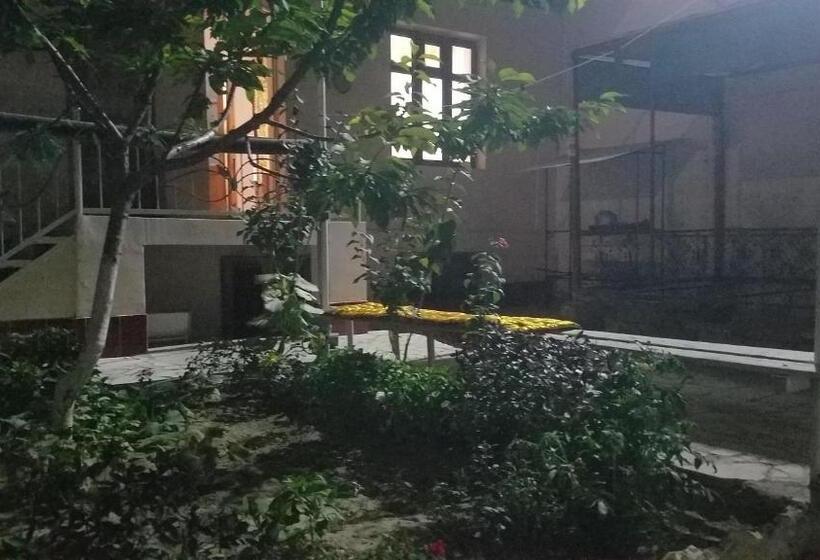 بنسيون Optimist