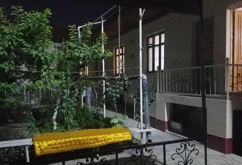 بنسيون Optimist