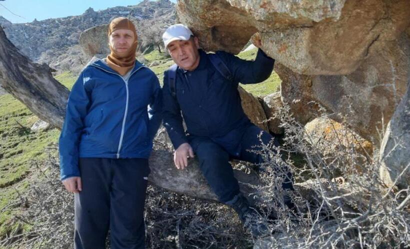 بنسيون Optimist