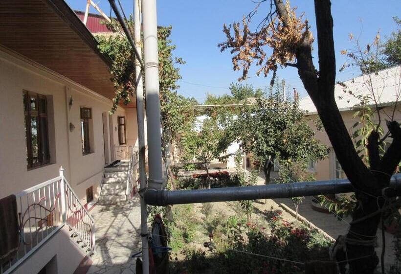 بنسيون Optimist