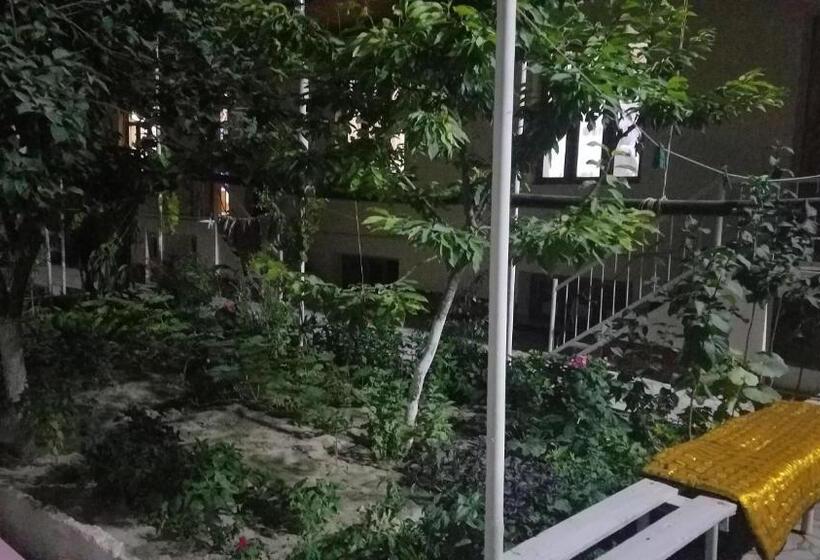 بنسيون Optimist