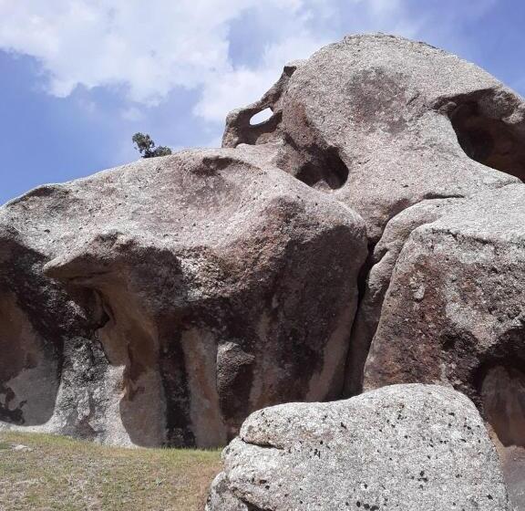 بنسيون Optimist