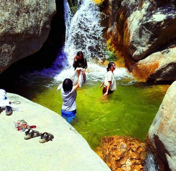 بنسيون Optimist