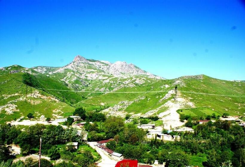 بنسيون Optimist