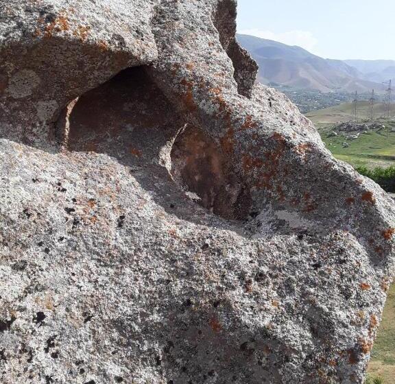 بنسيون Optimist