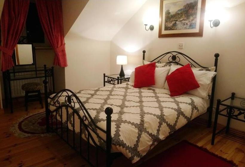 פנסיון Vaughans Pub/accommodation