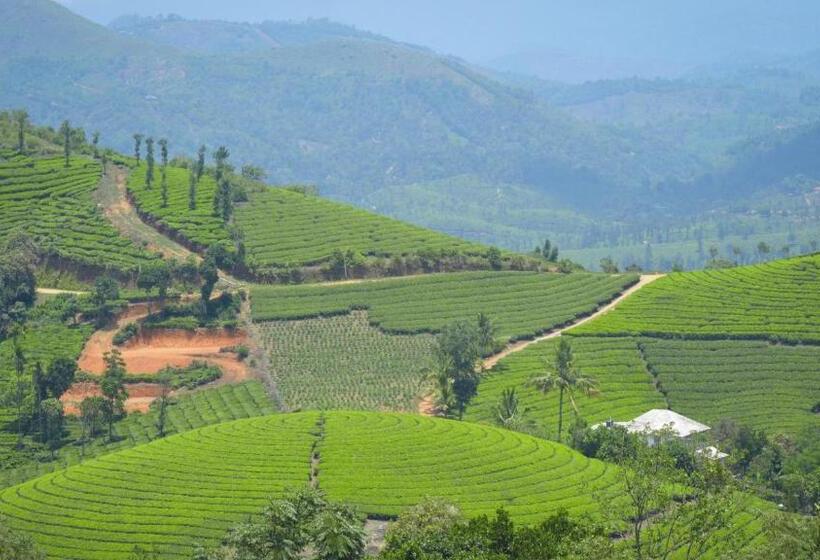 אתר נופש The Highlander