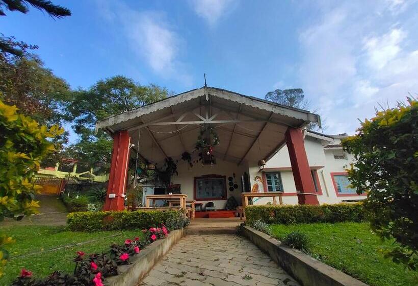 The Birdhouse Backpackers Hostel