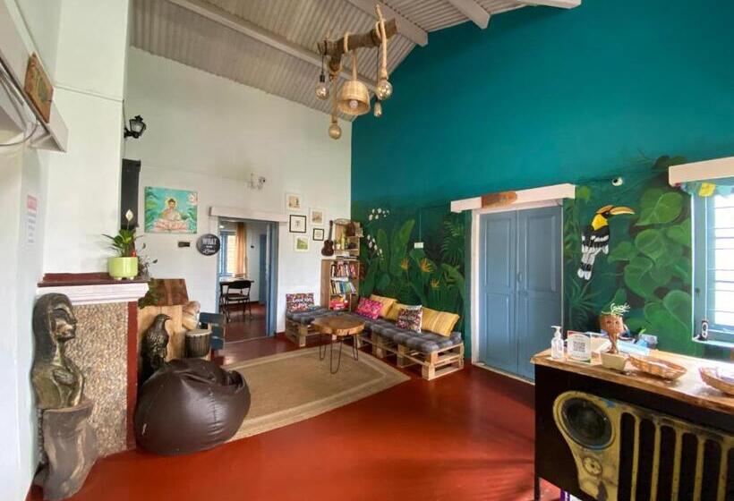 The Birdhouse Backpackers Hostel