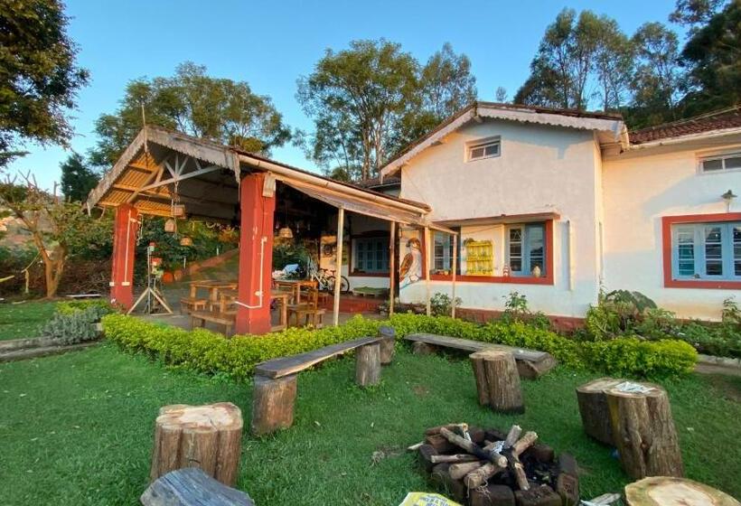 The Birdhouse Backpackers Hostel