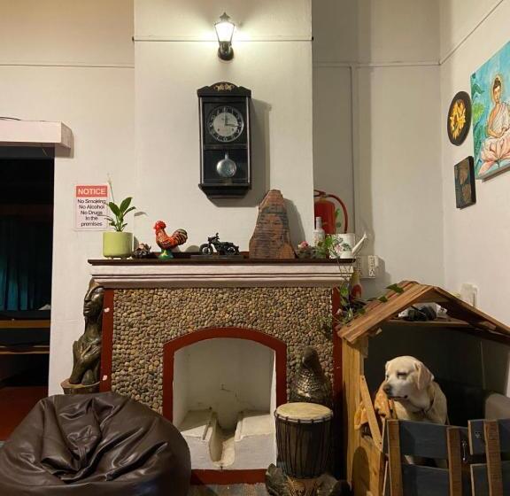 The Birdhouse Backpackers Hostel