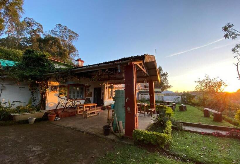 The Birdhouse Backpackers Hostel