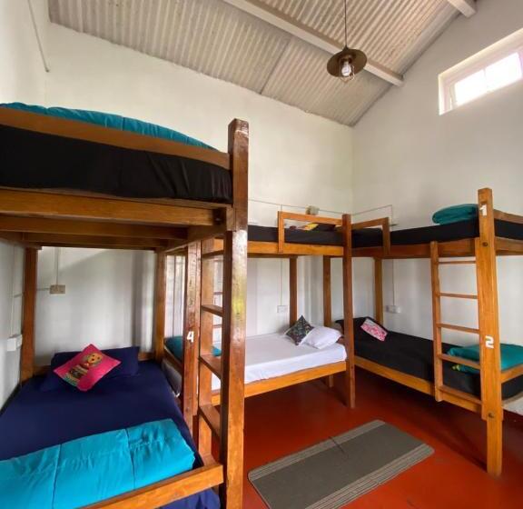 The Birdhouse Backpackers Hostel