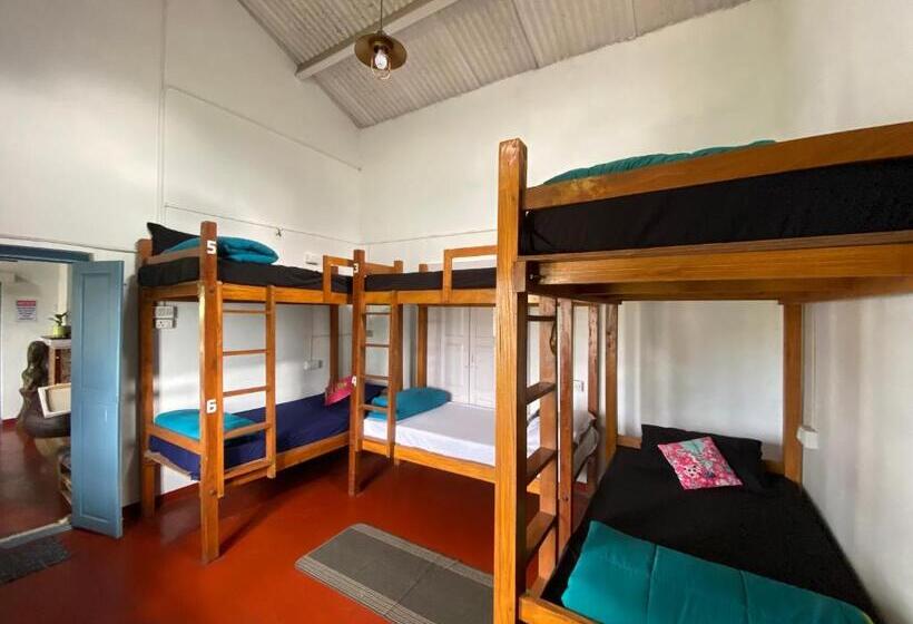 The Birdhouse Backpackers Hostel