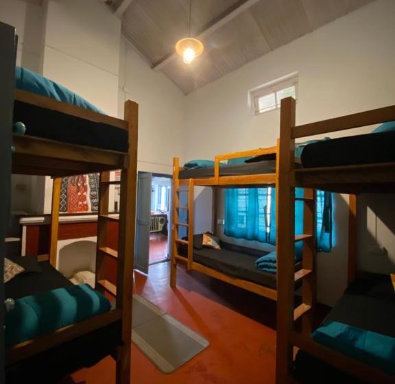 The Birdhouse Backpackers Hostel