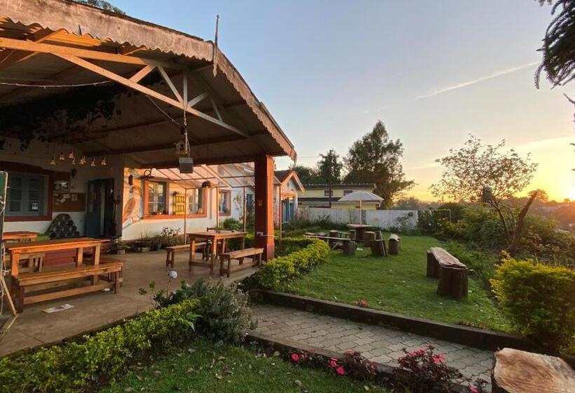 The Birdhouse Backpackers Hostel