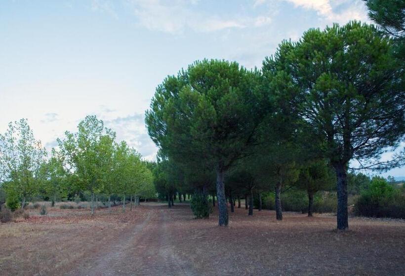 בית מלון כפרי Rural Las Tejuelas