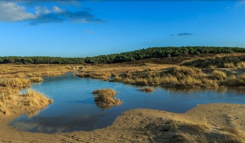 ホテル Villa De Hazelaar