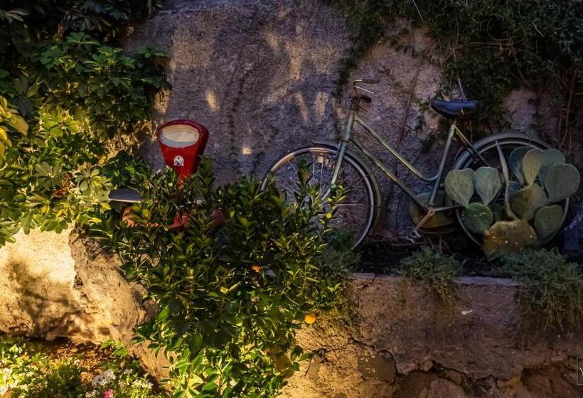 The Yard Hostel
