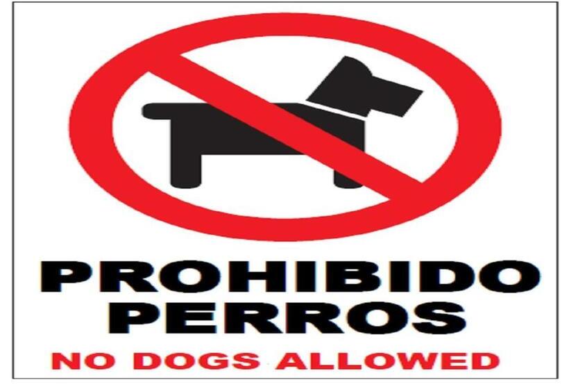 Albergue O Apartamento Camino Santiago Porriño En Pleno Centro City Centre