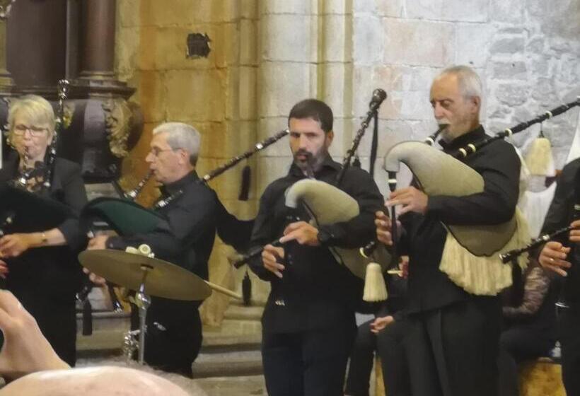 Albergue O Apartamento Camino Santiago Porriño En Pleno Centro City Centre