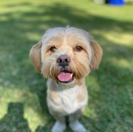 هاستل Casa Montemira