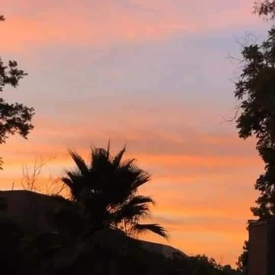 هاستل Casa Montemira