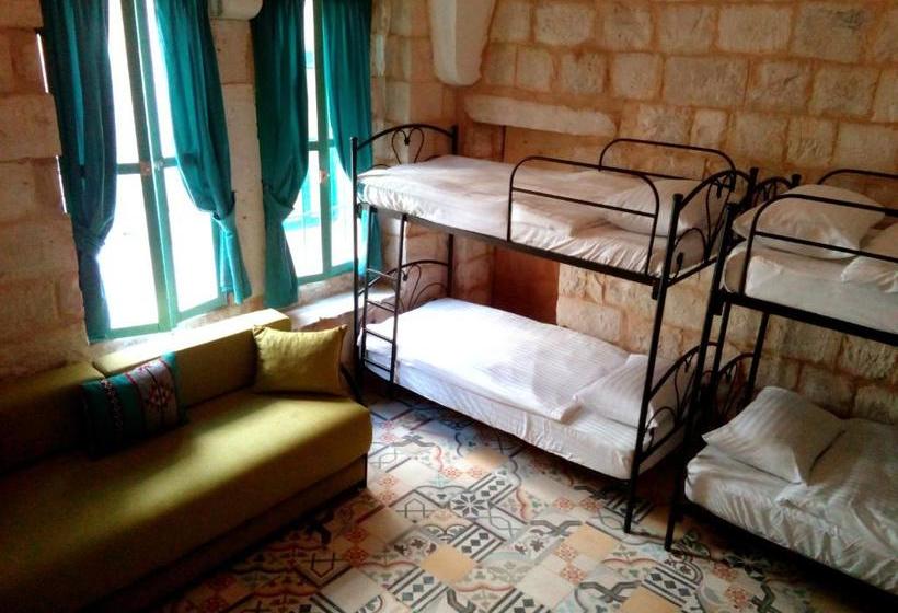 هاستل Turquoise