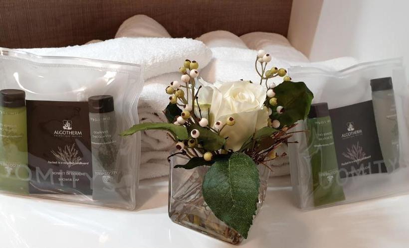 Domitys   Les Aiglons Blancs