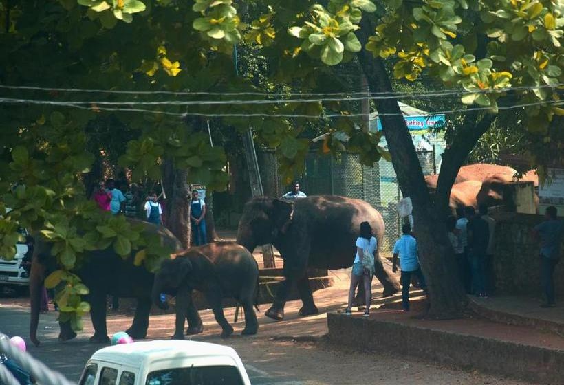 ユースホステル Villa Pinnawala