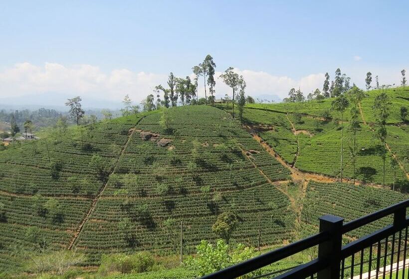 Отель Harrington Heritage