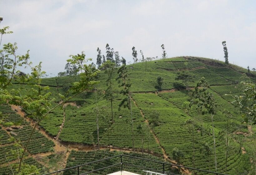 Отель Harrington Heritage