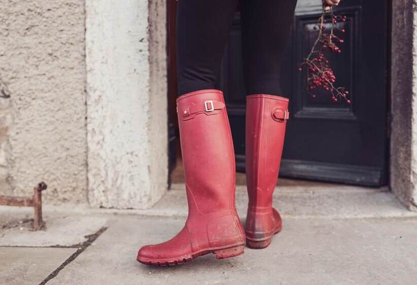 Отель The New Inn