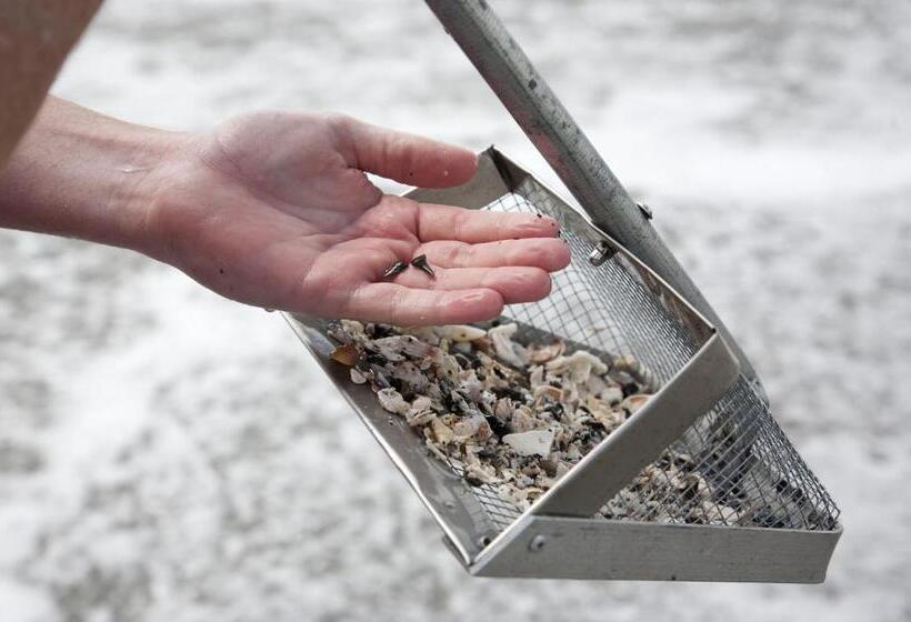 فندق Tropical Villas Of Venice Beach