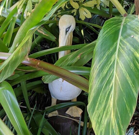 فندق Tropical Villas Of Venice Beach