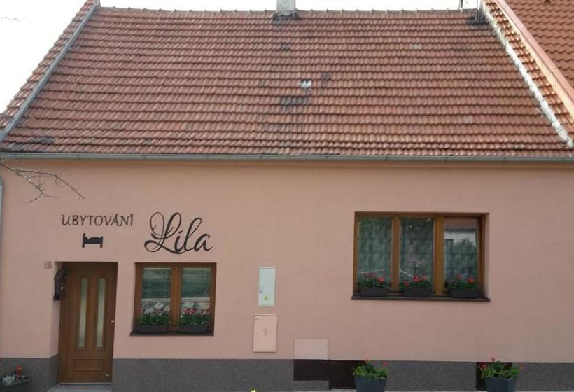 ペンション Ubytování Lila