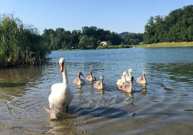 استراحتگاه Luxury Glamping Chocolate Village