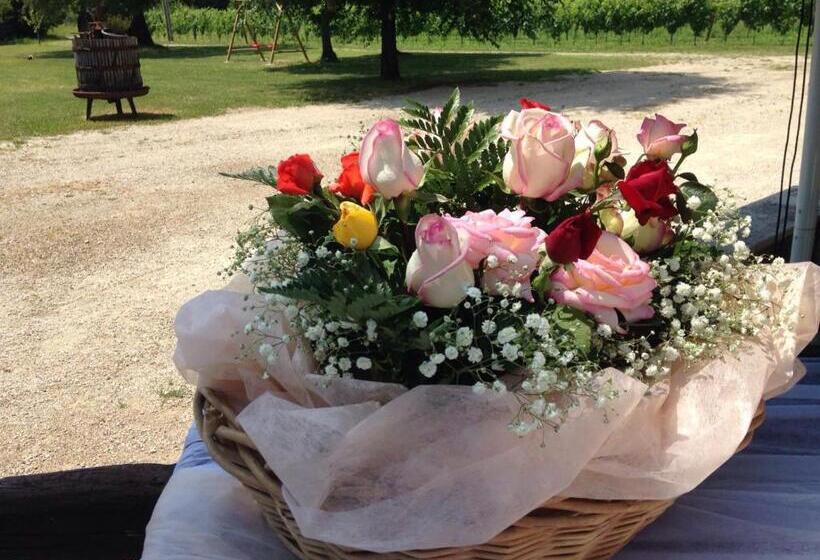 Bed and Breakfast Agriturismo Le Giarine